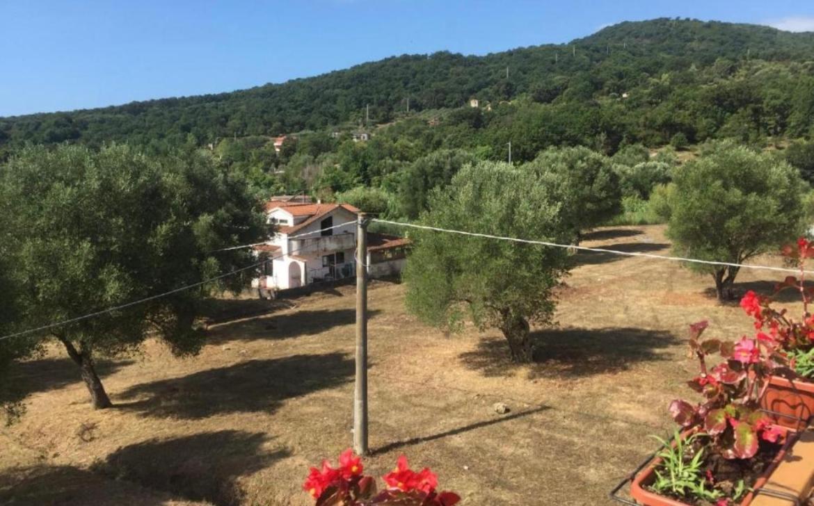Apartamento Residenza Longobardi Vibonati Exterior foto