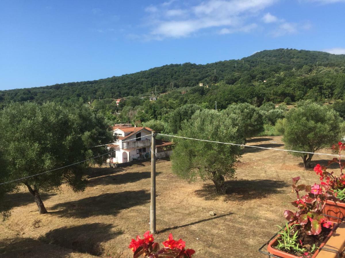 Apartamento Residenza Longobardi Vibonati Exterior foto